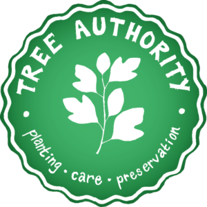 Home - Tree Authority LLC